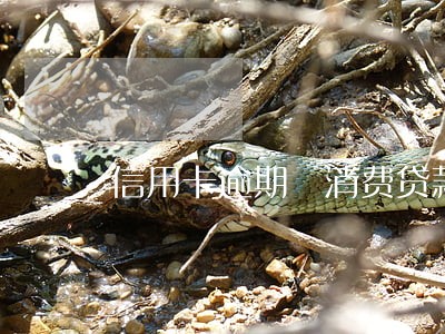 信用卡逾期 消费贷款 信用卡逾期 消费贷款